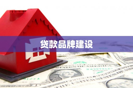 安泽贷款品牌建设