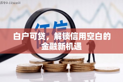 安泽白户可贷，解锁信用空白的金融新机遇