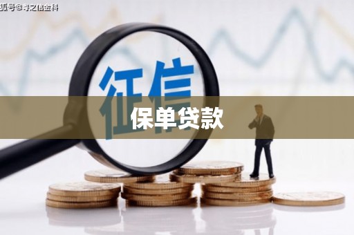 安泽保单贷款