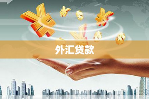 安泽外汇贷款