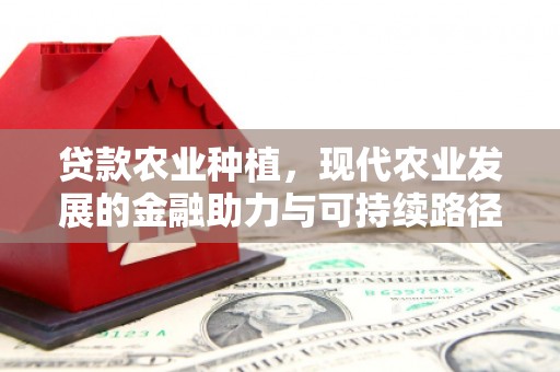 安泽贷款农业种植，现代农业发展的金融助力与可持续路径