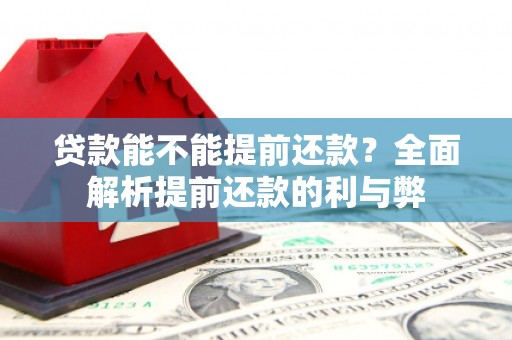 安泽贷款能不能提前还款？全面解析提前还款的利与弊