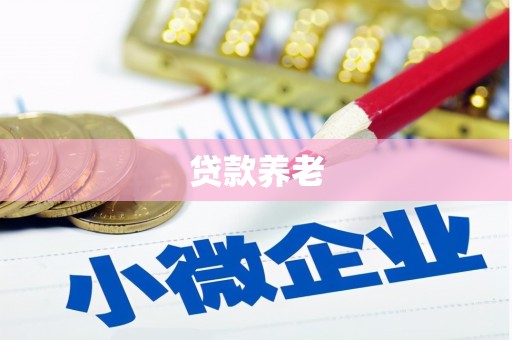 安泽贷款养老