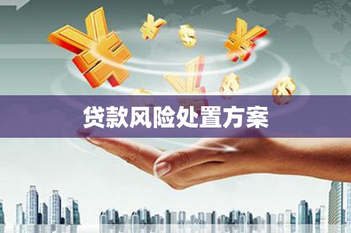 安泽贷款风险处置方案