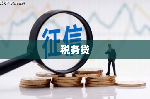 安泽税务贷