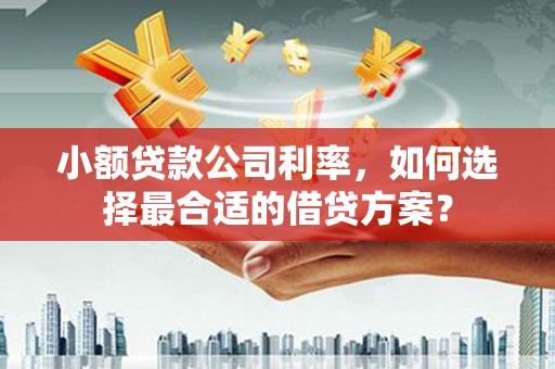 安泽小额贷款公司利率，如何选择最合适的借贷方案？