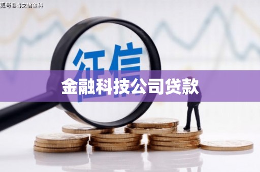 安泽金融科技公司贷款