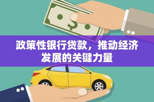 安泽政策性银行贷款，推动经济发展的关键力量