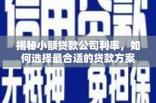 安泽揭秘小额贷款公司利率，如何选择最合适的贷款方案