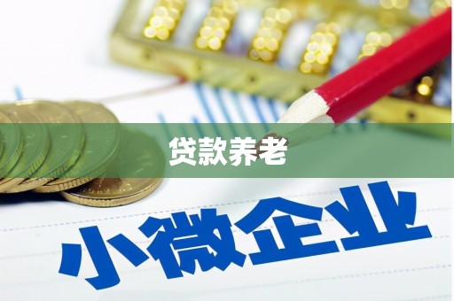 安泽贷款养老