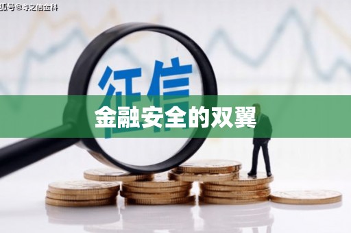 安泽金融安全的双翼