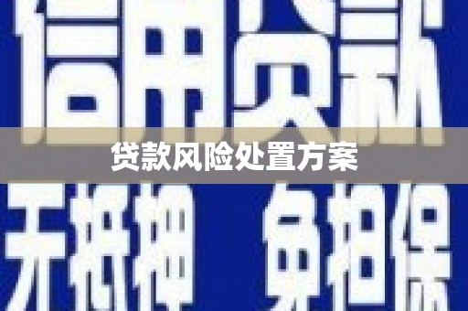 安泽贷款风险处置方案