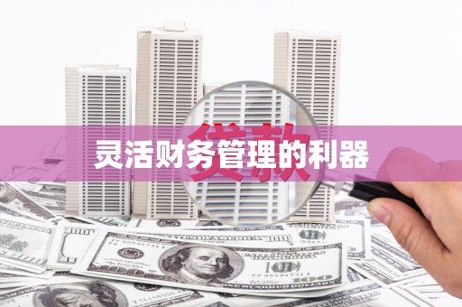 安泽灵活财务管理的利器