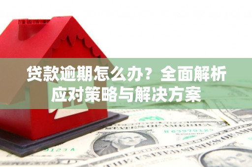 安泽贷款逾期怎么办？全面解析应对策略与解决方案