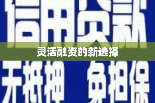 安泽灵活融资的新选择