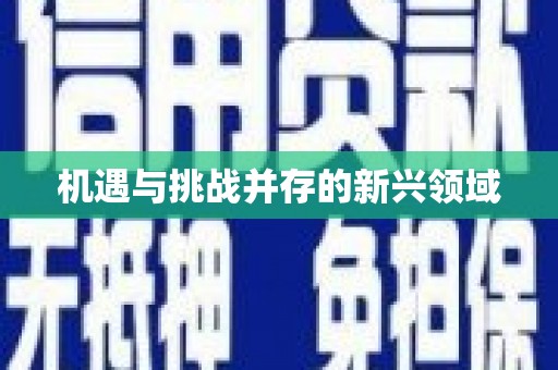 安泽机遇与挑战并存的新兴领域