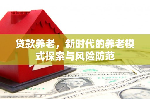 安泽贷款养老，新时代的养老模式探索与风险防范